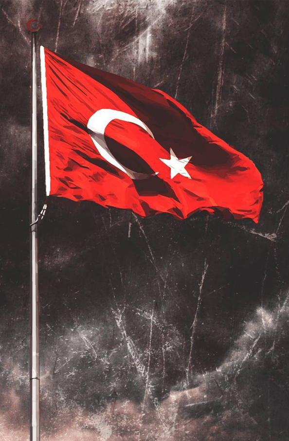 Gonder Bayrak Turk Bayragi Rashel Kumas 100 X 150 Cm Fiyati
